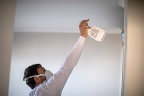 Professional Mold Removal in Cherry Valley, IL