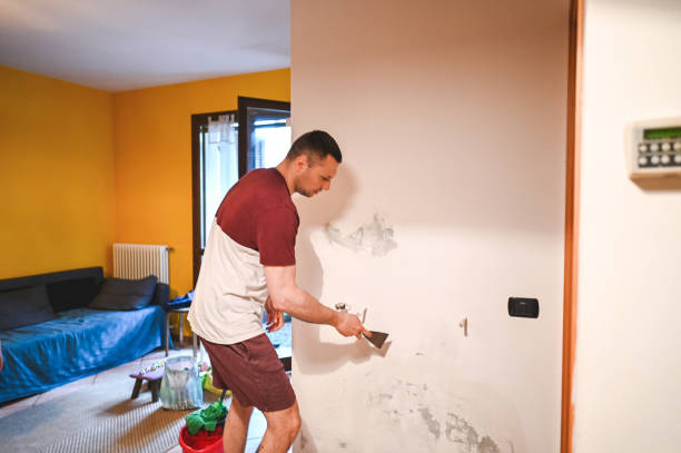 Best Professional Mold Removal  in Cherry Valley, IL