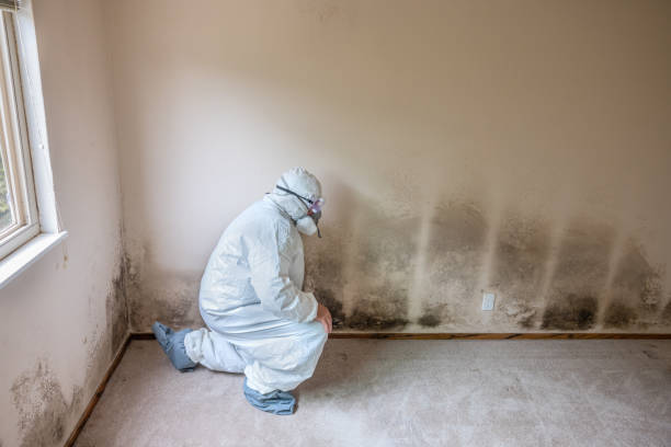 Water Damage Restoration in Cherry Valley, IL